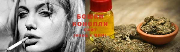 ГАЛЛЮЦИНОГЕННЫЕ ГРИБЫ Арсеньев