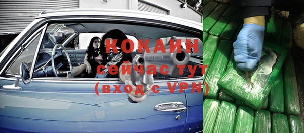 стафф Алзамай