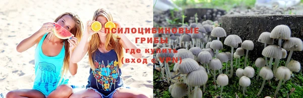 бутират Алексин