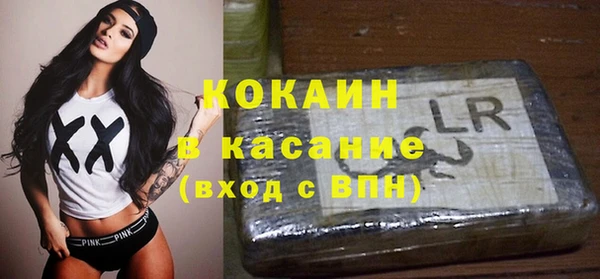 стафф Алзамай