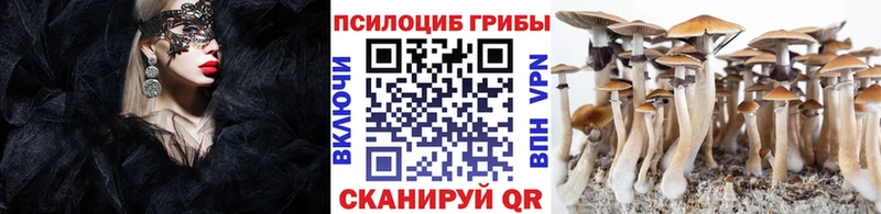 МЕГА зеркало Ельня Псилоцибиновые грибы мухоморы хочу