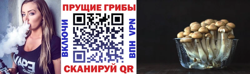 Псилоцибиновые грибы прущие грибы Ельня